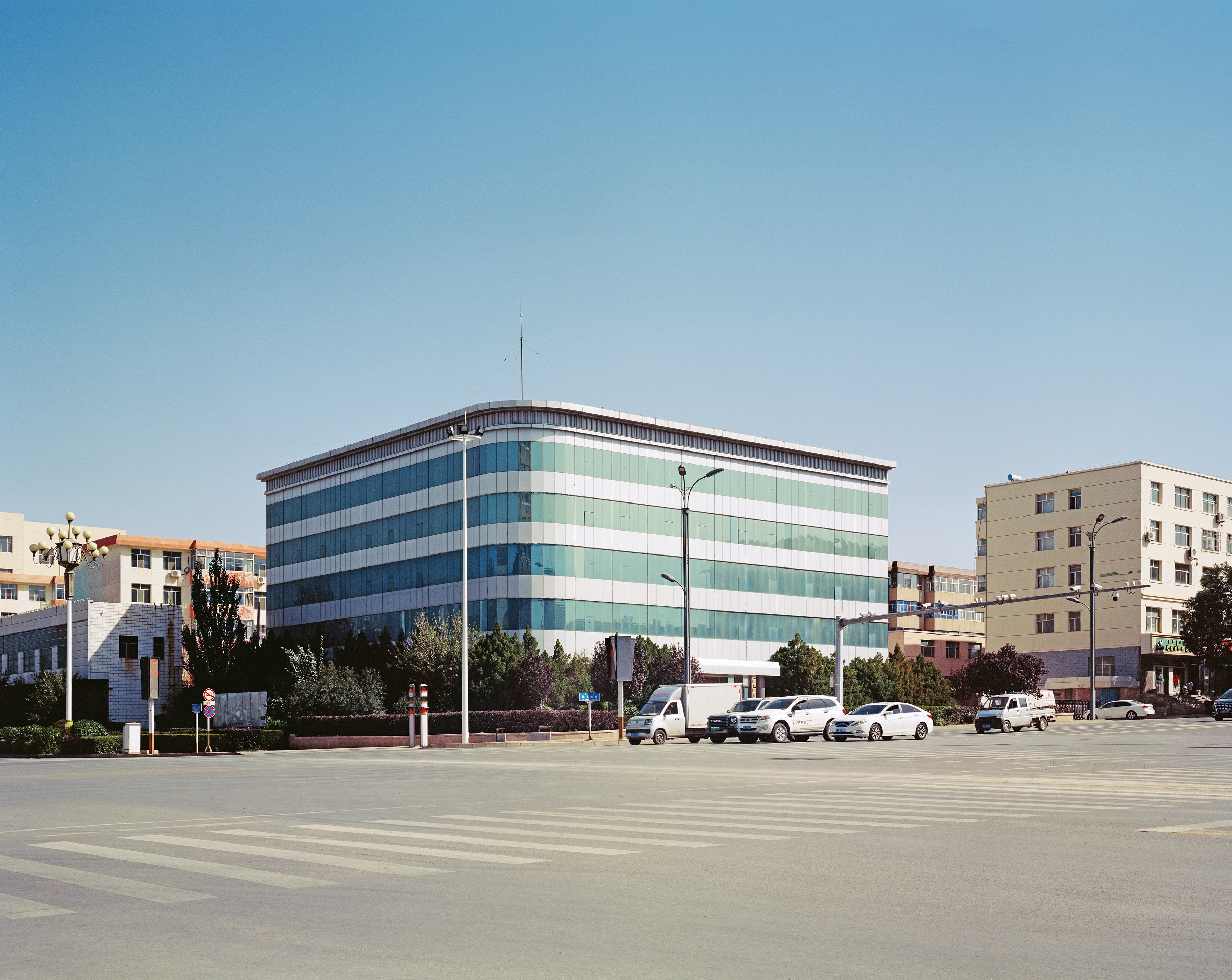 An alleyway with metallic fences and overgrown greenery.
